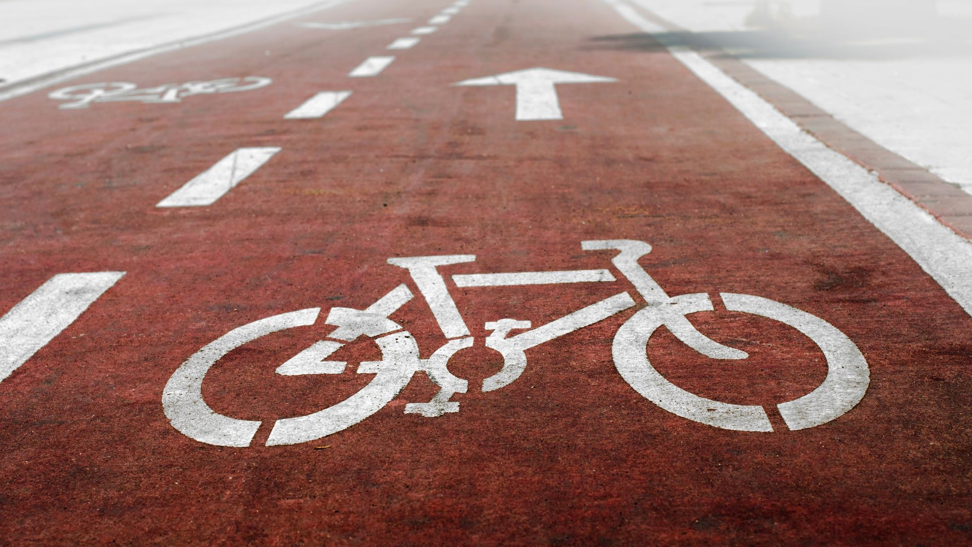 Ciclismo: O que é, como surgiu e quais os principais benefícios