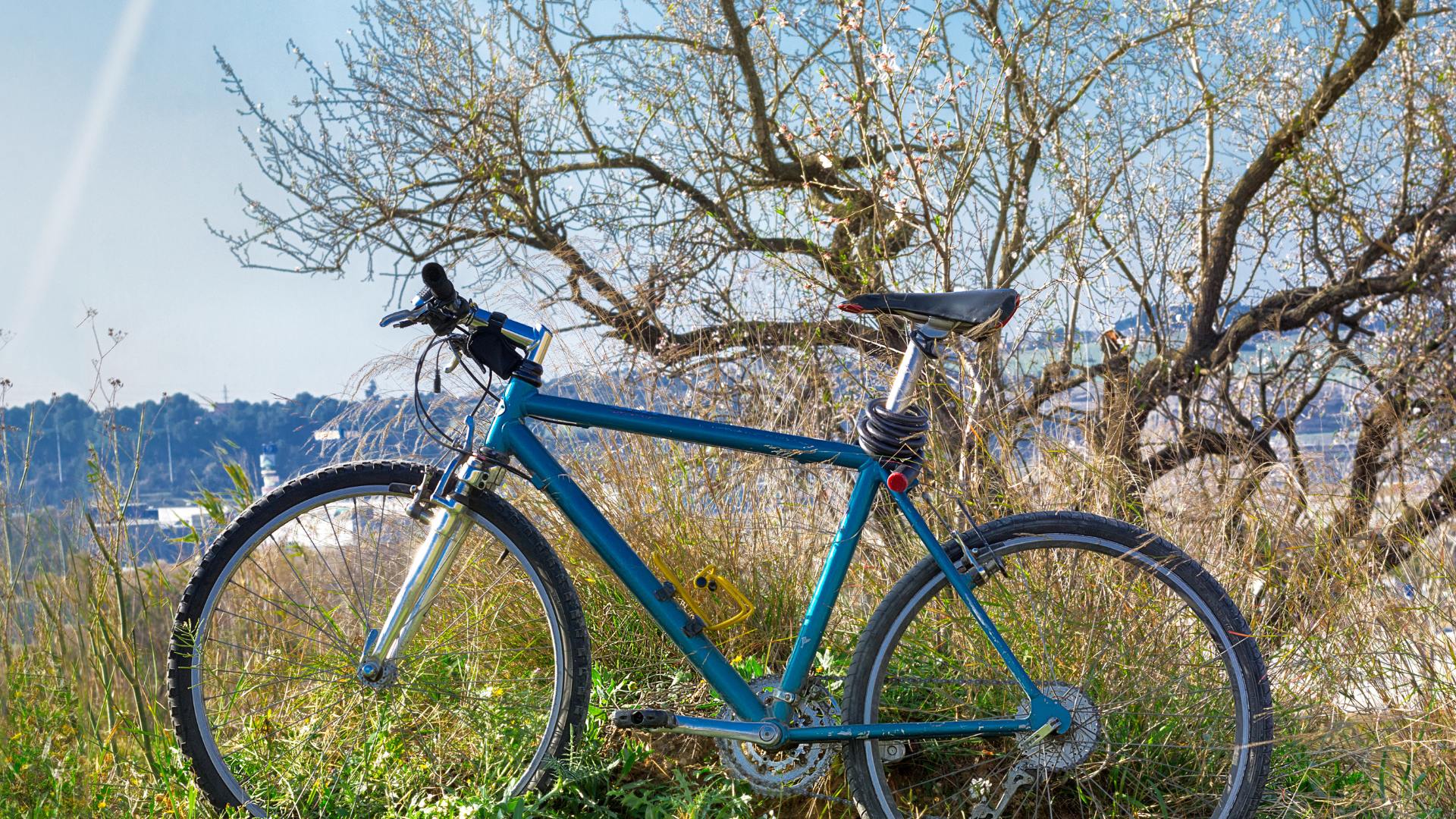 Sonhar com Bicicleta Nova Azul: Qual é o Significado?