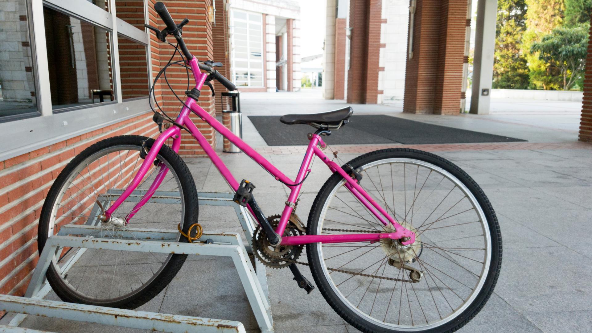Sonhar com Bicicleta Rosa: Qual é o Significado?