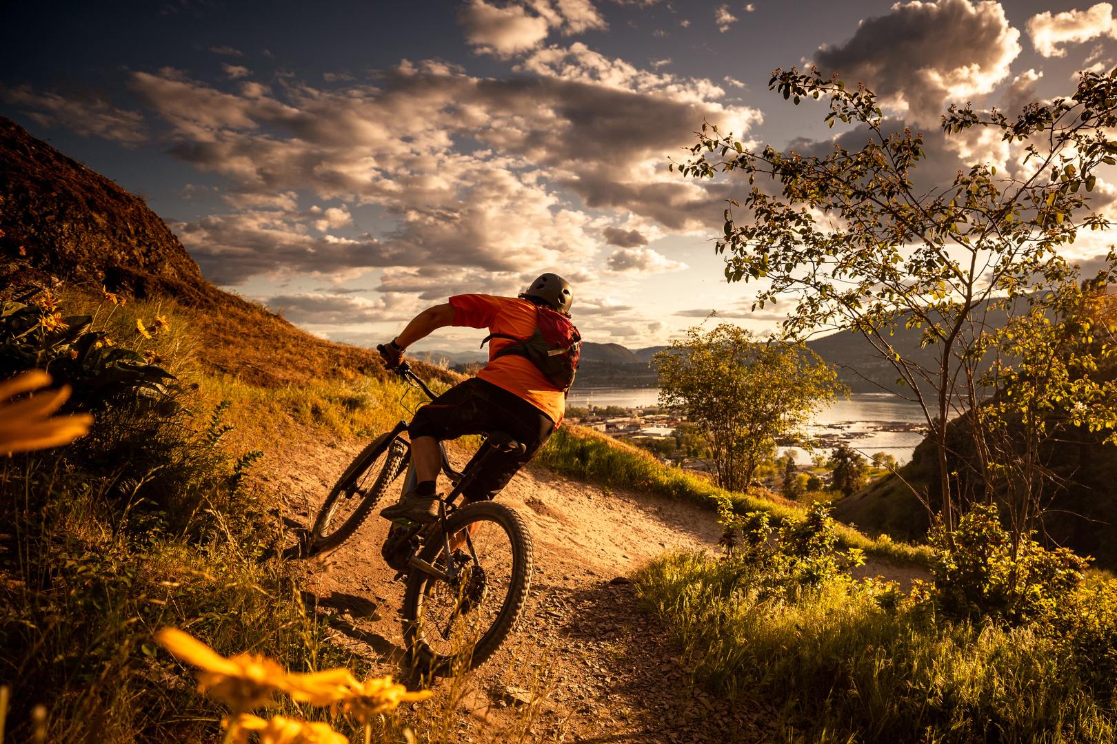mountain bike para quem está iniciando no ciclismo